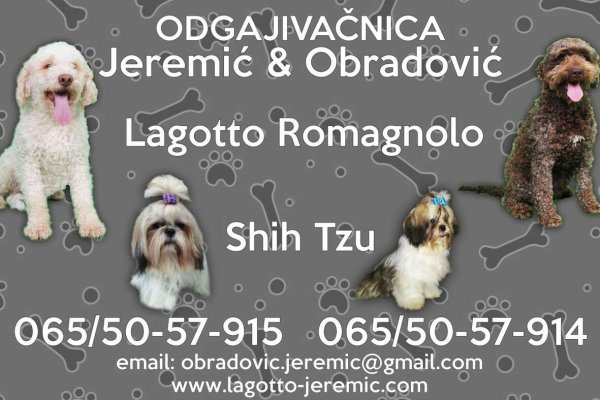 Как вывести деньги с кракена маркетплейс