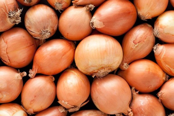 Kraken официальный сайт ссылка krk store com