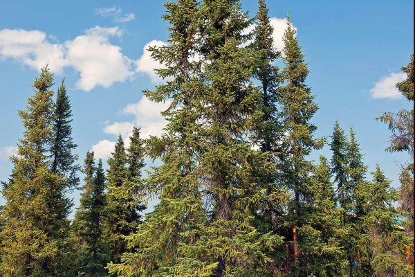 Кракен сайт регистрация