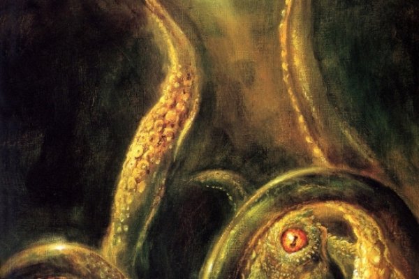 Kraken darknet kraken darknet 2n com