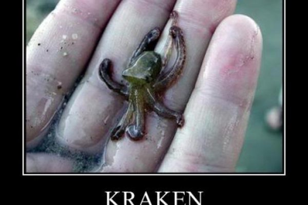 Kraken 17 at net