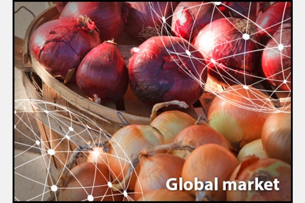 Kraken13 at сайт