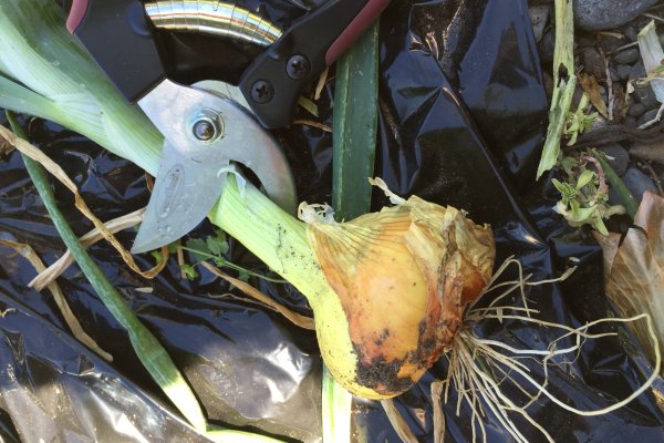 Kra33.cc Вход на сайт главная страница